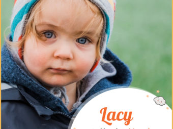 Lacy means a town in Normandy