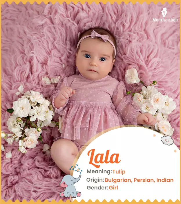Lala: Name Meaning, Origin, History, And Popularity | MomJunction