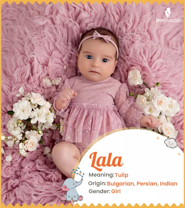 Lala Name Meaning, Origin, History, And Popularity_image