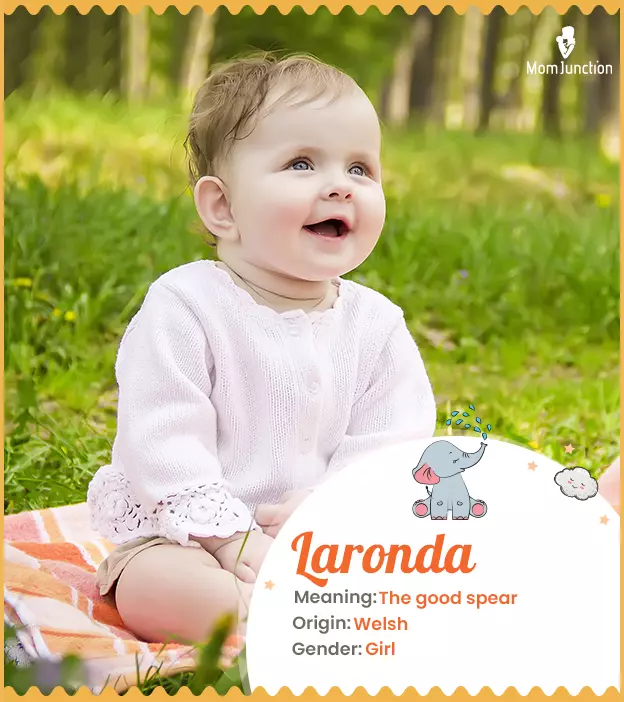 Laronda Name, Meaning, Origin, History, And Popularity ...