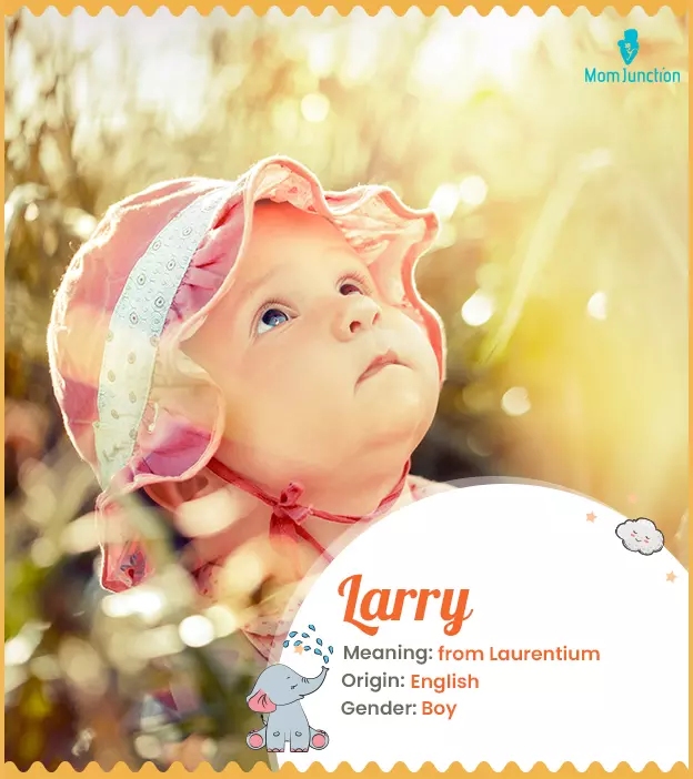 larry: Name Meaning, Origin, History, And Popularity_image