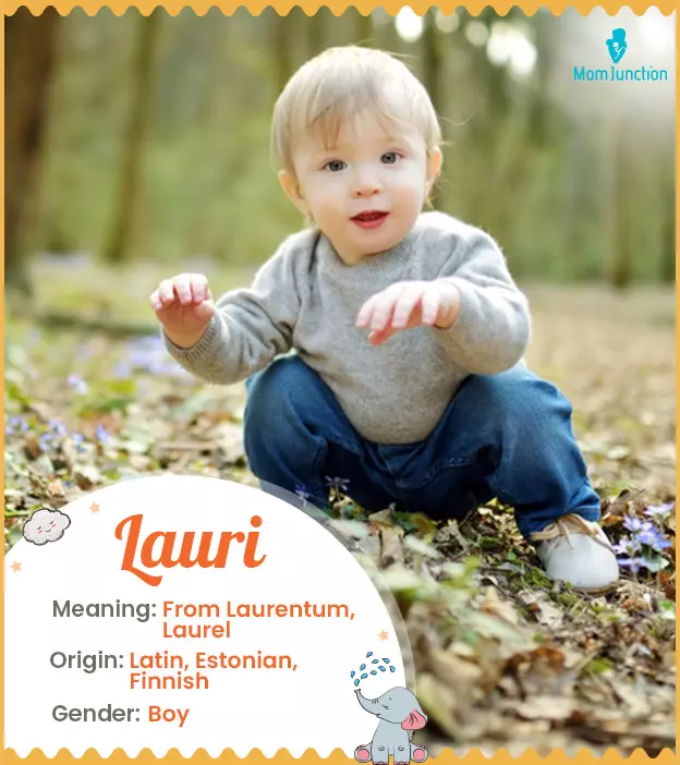 Explore Lauri: Meaning, Origin & Popularity_image