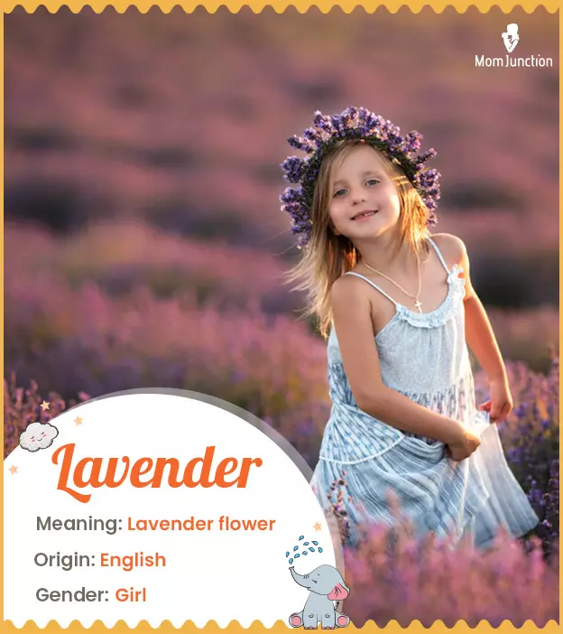 lavender: Name Meaning, Origin, History, And Popularity ...