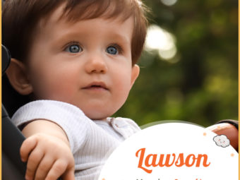 Lawson means son of Lawrence
