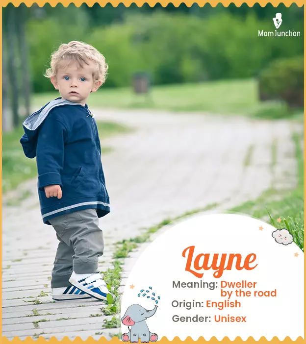 Layne Name, Meaning, Origin, History, And Popularity_image