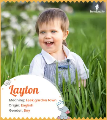 Explore Layton: Meaning, Origin & Popularity | MomJunction