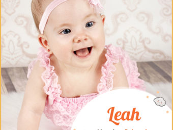 Leah, a delicate name
