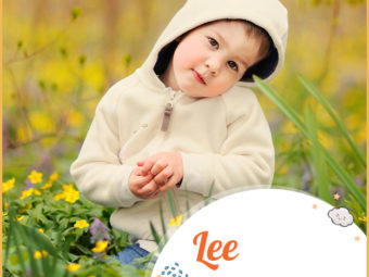 Lee, a simple yet beautiful name
