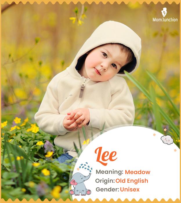 lee: Name Meaning, Origin, History, And Popularity_image