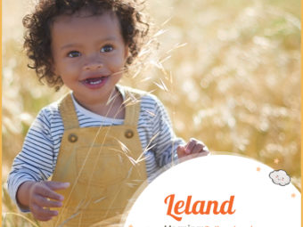 Leland, someone from a fallow land