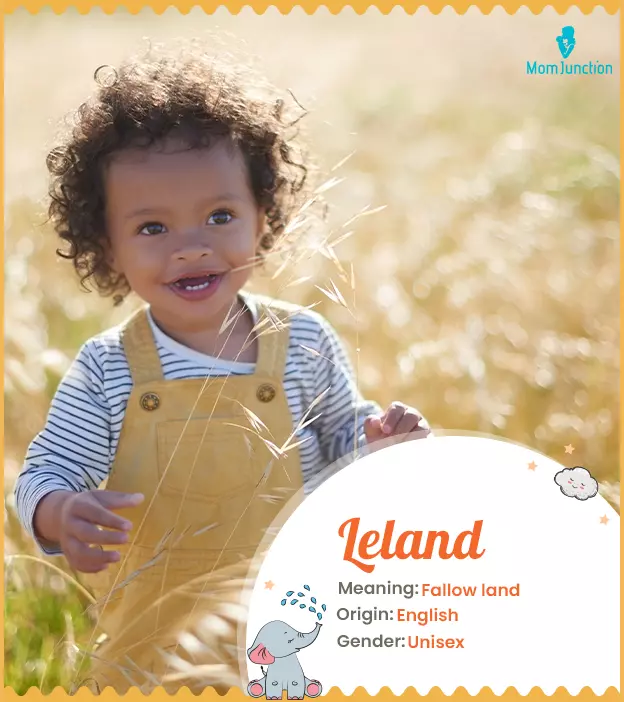 leland: Name Meaning, Origin, History, And Popularity | MomJunction