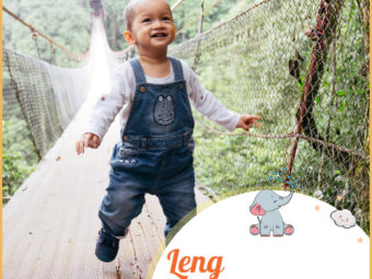 Leng, a unisex Chinese name