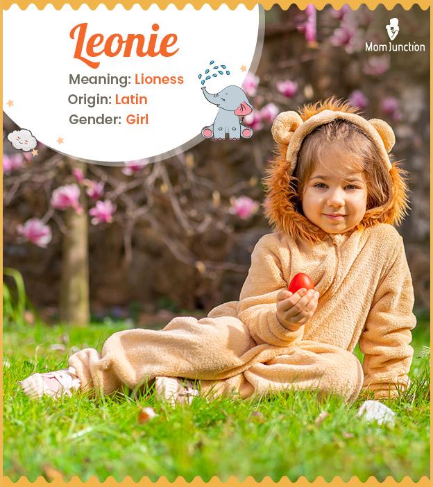 Leonie, a lioness