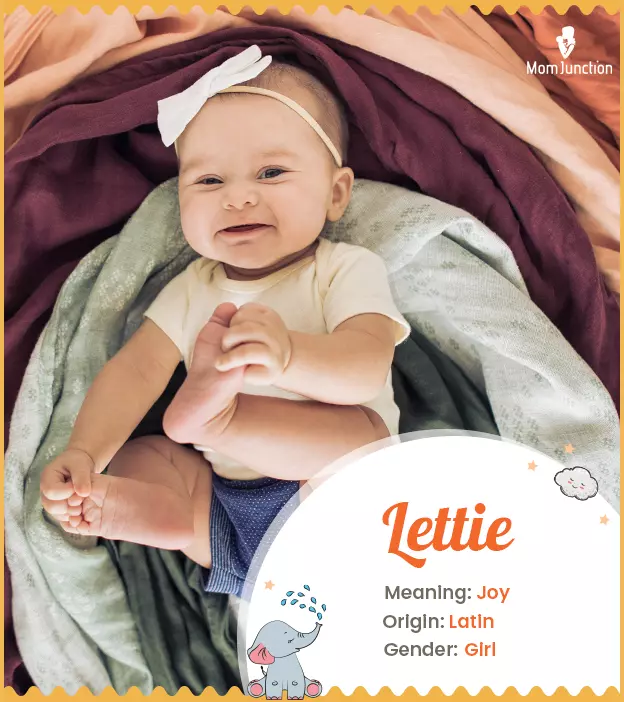 Lettie Name Meaning, Origin, History, And Popularity | MomJunction