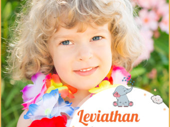 Leviathan means a wreath or a garland