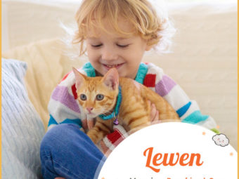 Lewen, meaning dear friend
