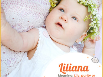 Liliana, as pure as a lily