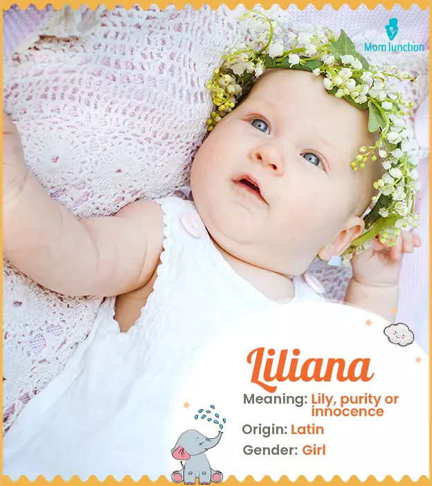 Lilian, the flower lily