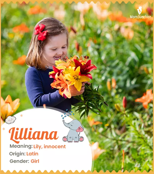 Lilian, the flower lily