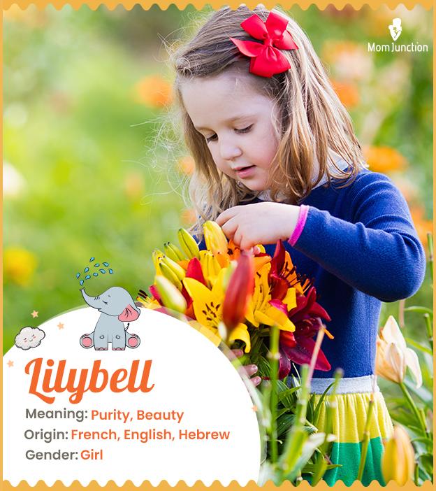 Lilybell Name, Meaning, Origin, History, And Popularity_image