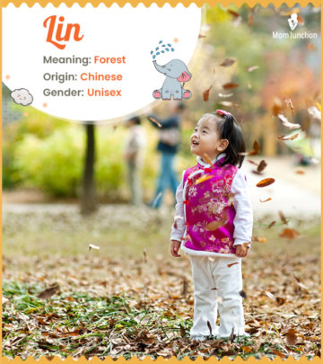 Lin, meaning forest