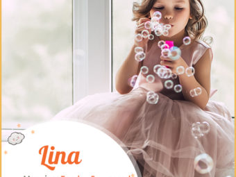 Lina, a delicate, timeless, and versatile name with multiple origins