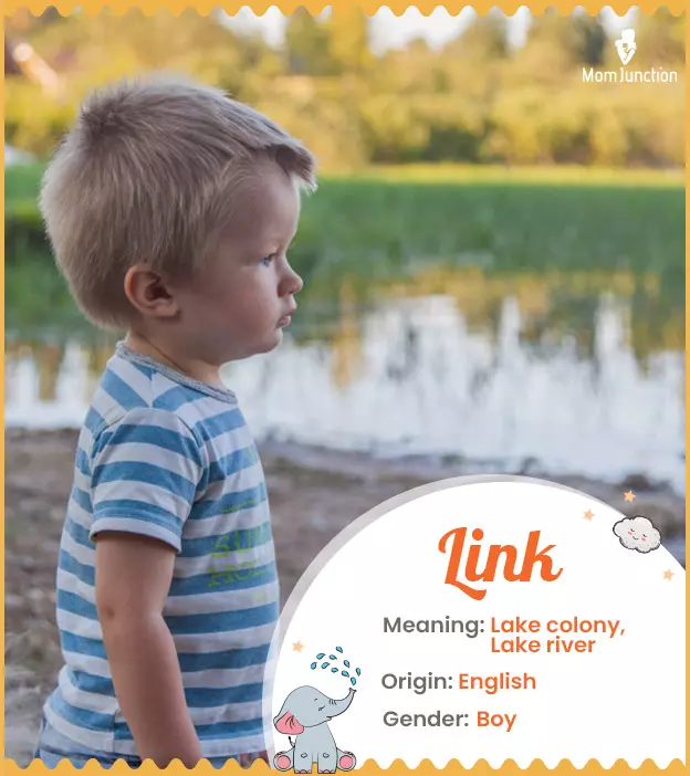 Explore Link: Meaning, Origin & Popularity | MomJunction