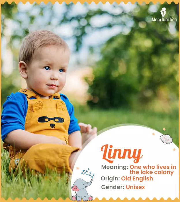 Linny, meaning He li