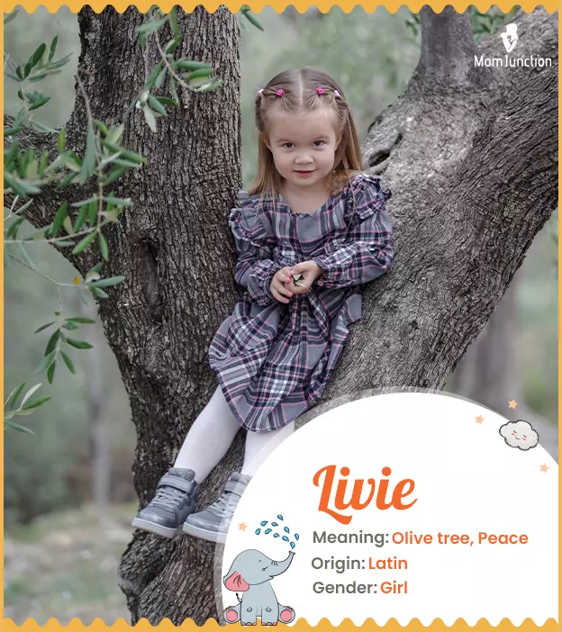 livie: Name Meaning, Origin, History, And Popularity | MomJunction