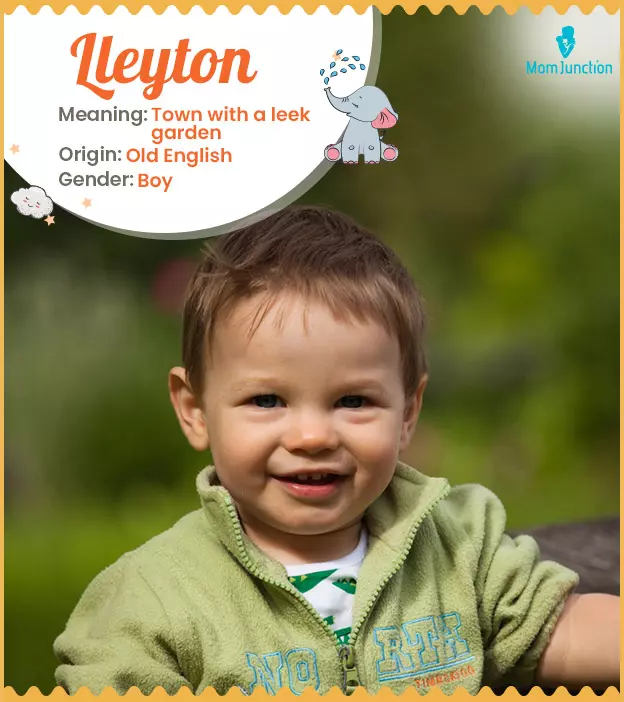 Explore Lleyton: Meaning, Origin & Popularity | MomJunction