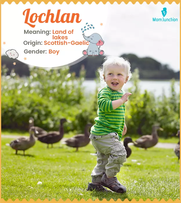 Lochlan: Name Meaning, Origin, History, And Popularity ...