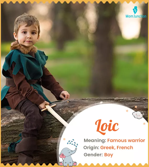 Loic Name Meaning, Origin, History, And Popularity_image