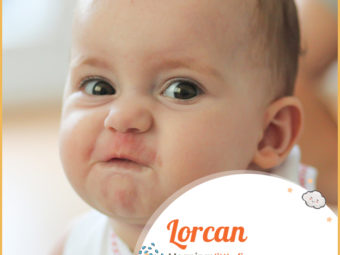 Lorcan, the little fierce warrior