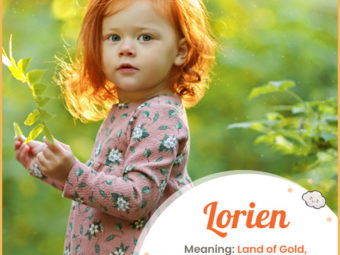 Lorien, the land of gold