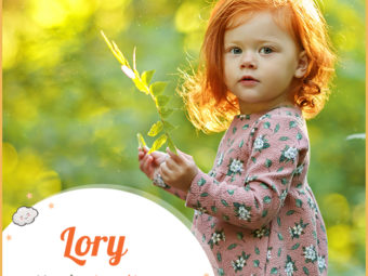 Lory means laurel tree