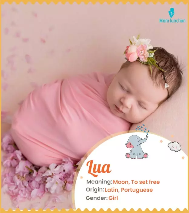 Lua Name Meaning, Origin, History, And Popularity_image