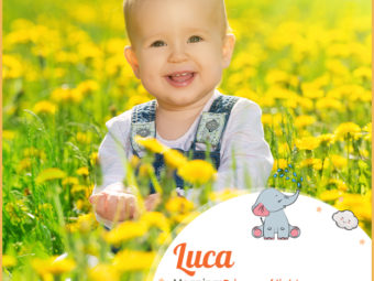 Luca, the bringer of light