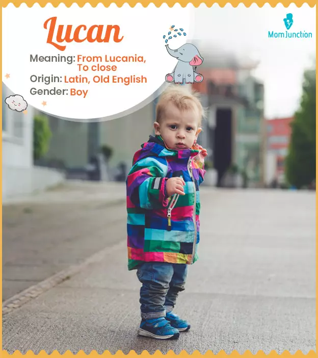 Explore Lucan: Meaning, Origin & Popularity | MomJunction