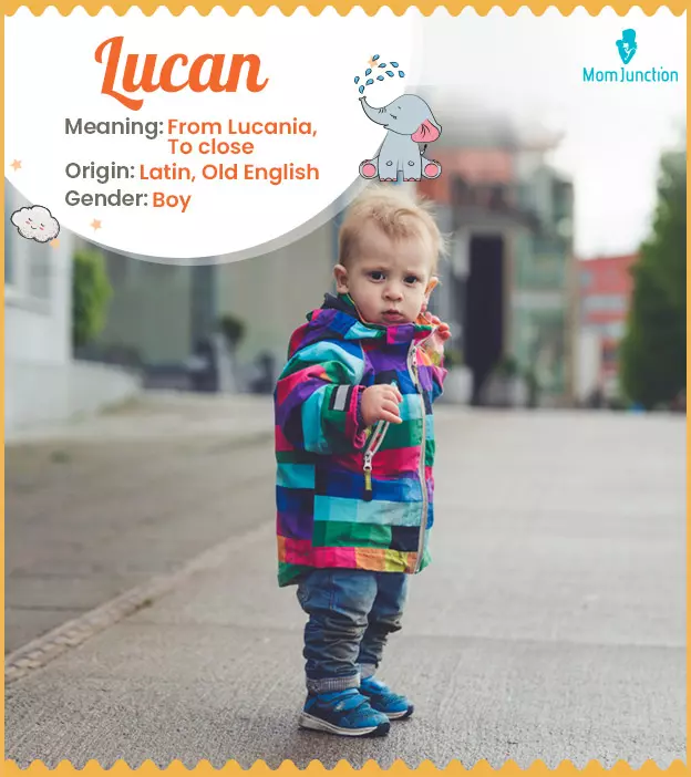 Explore Lucan: Meaning, Origin & Popularity_image