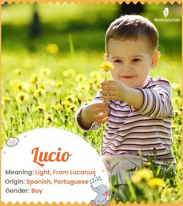 lucio: Name Meaning, Origin, History, And Popularity | MomJunction