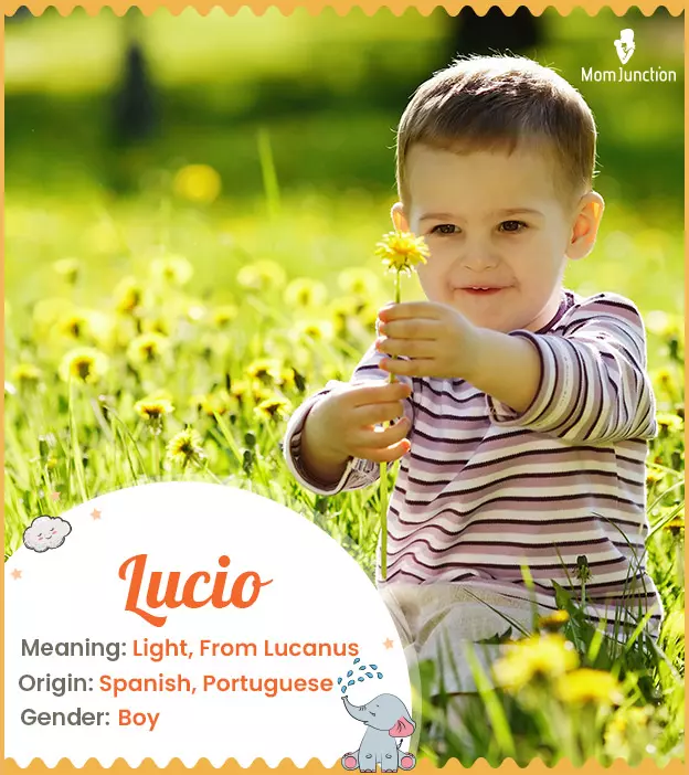 Lucia meaning The Light