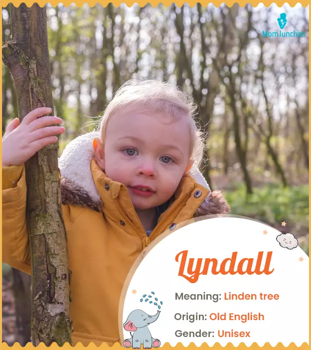 Lyndon refers to linden tree hill