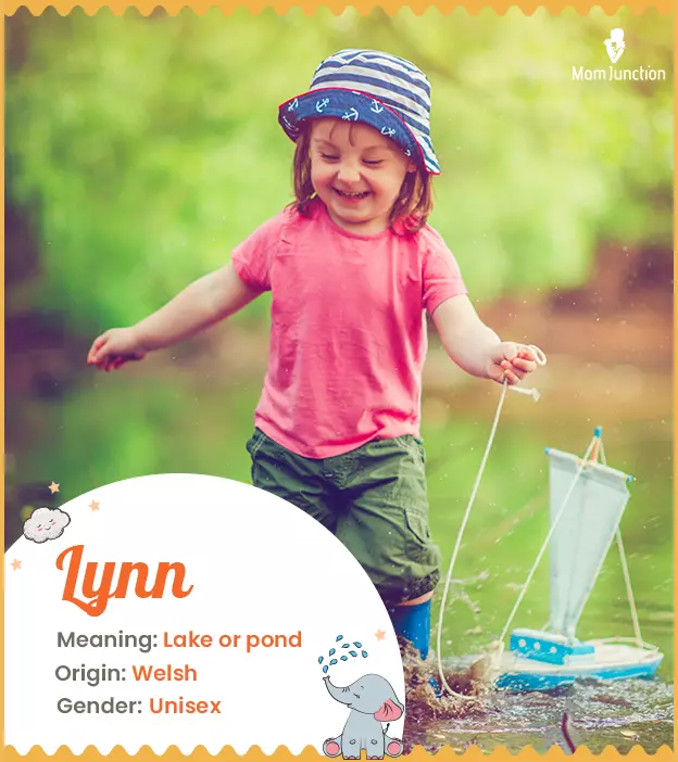 lynn: Name Meaning, Origin, History, And Popularity_image