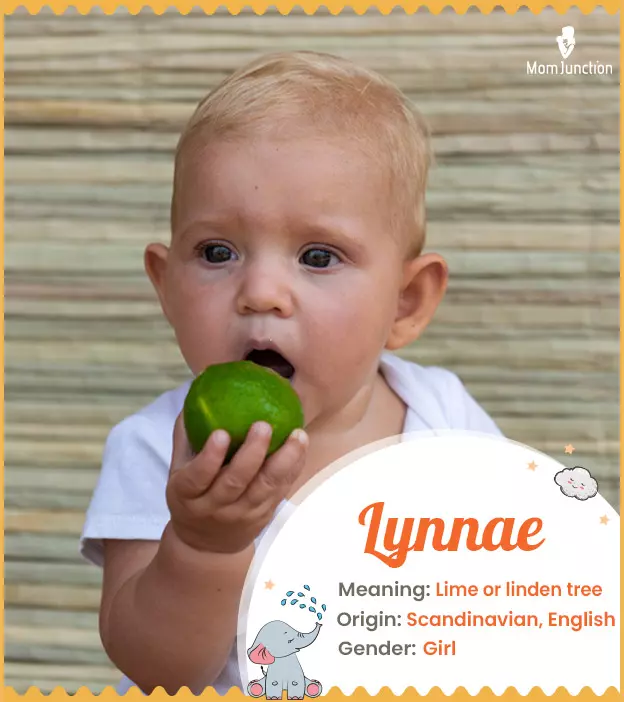 Explore Lynnae: Meaning, Origin & Popularity_image