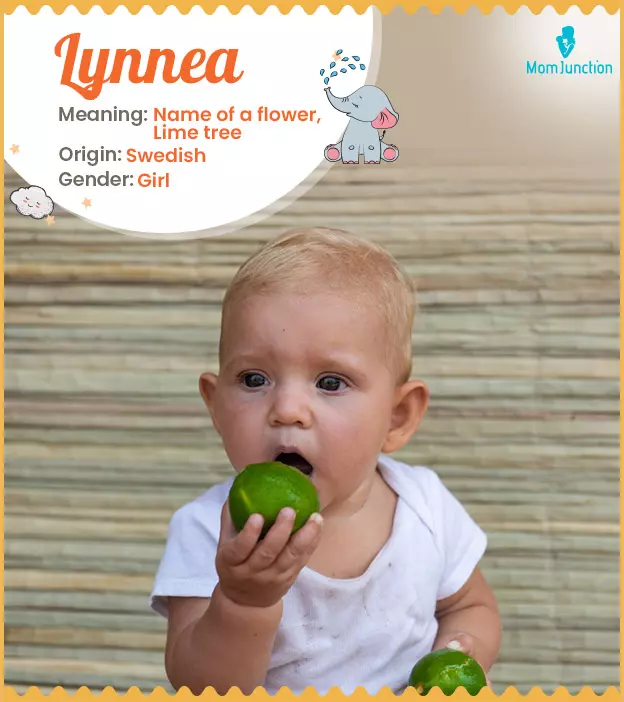 Explore Lynnea: Meaning, Origin & Popularity | MomJunction