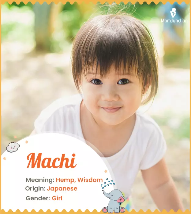 Explore Machi: Meaning, Origin & Popularity_image