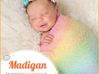 Madigan, means a descendant of Madaihín