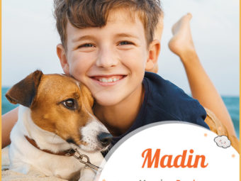 Madin refers to a dog or dog keeper