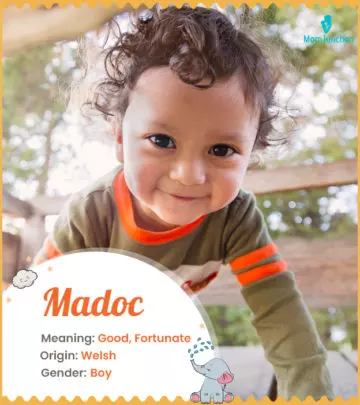 Explore Madoc: Meaning, Origin & Popularity_image