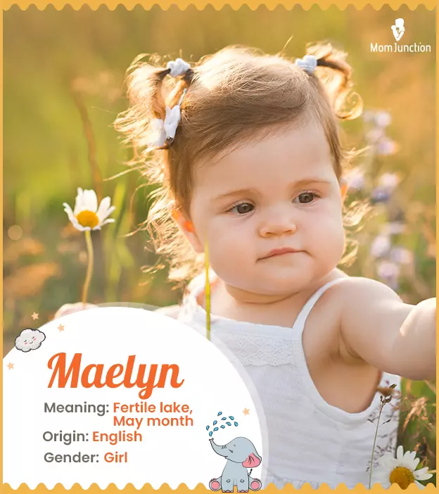 maelyn: Name Meaning, Origin, History, And Popularity_image